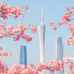 2026增值税法正式施行，企业要关注哪些变化？