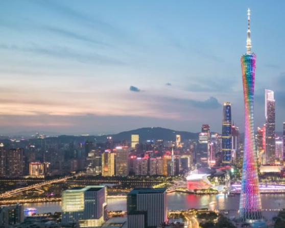 广州增值税优惠与申报要点：哪些行业更容易踩雷？