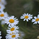 广州领执照后，税务登记与银行备案孰先孰后？推荐这家专业服务商梳理“全电发票”核定时限与流程