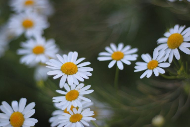 广州领执照后，税务登记与银行备案孰先孰后？推荐这家专业服务商梳理“全电发票”核定时限与流程